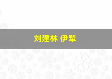 刘建林 伊犁